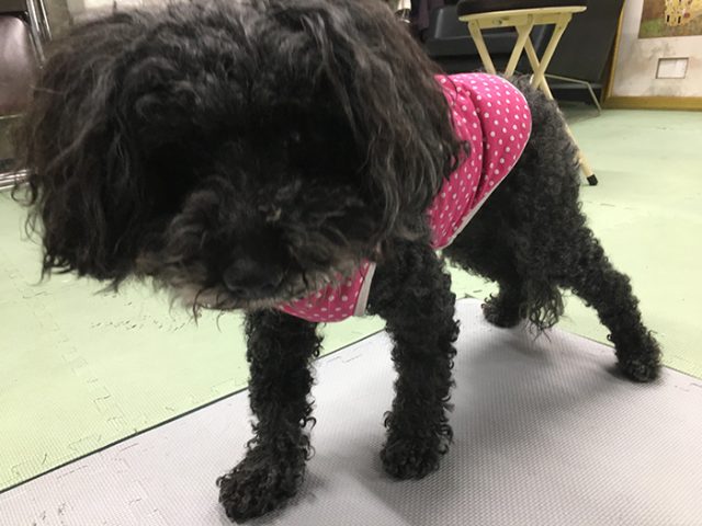 ベリー