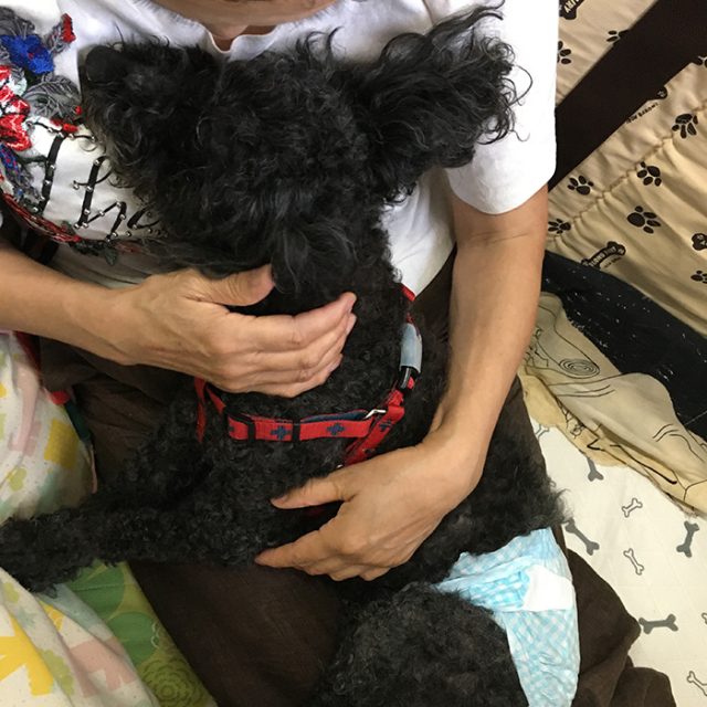 ベリー