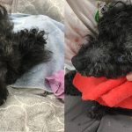 介護の難しさを痛感。同じ腎臓病でも介護は違いました