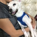 代表者からのメッセージ