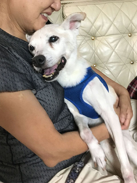 介護チャーリー