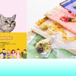 物資のご支援もお願いしています